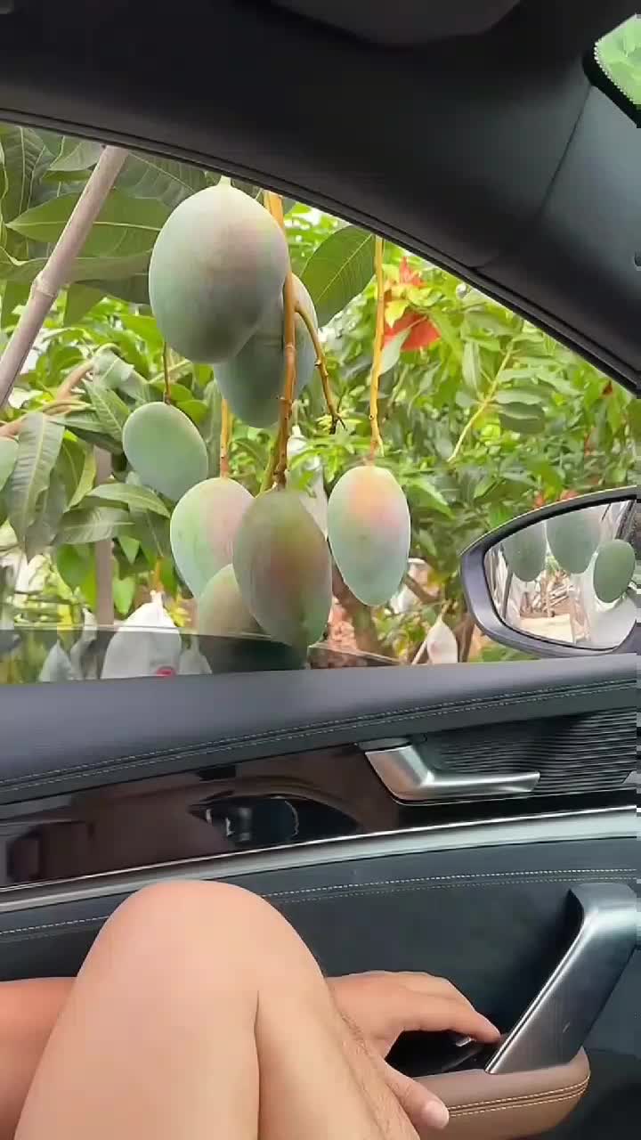 fruitshouse.28 - Video 26