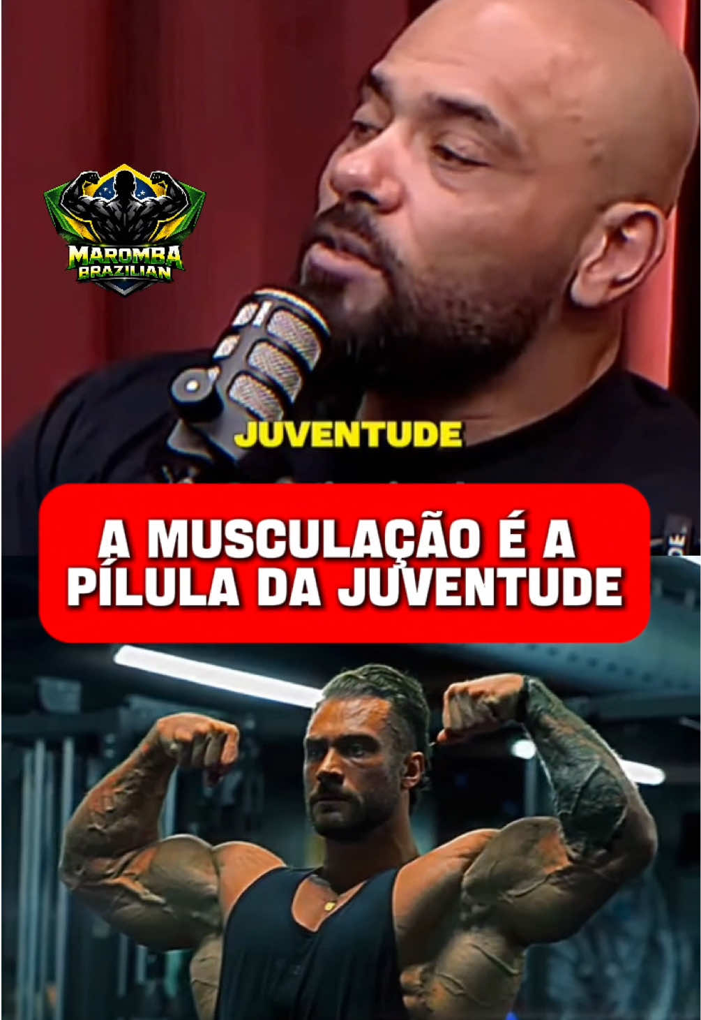 Geral - Video 1318