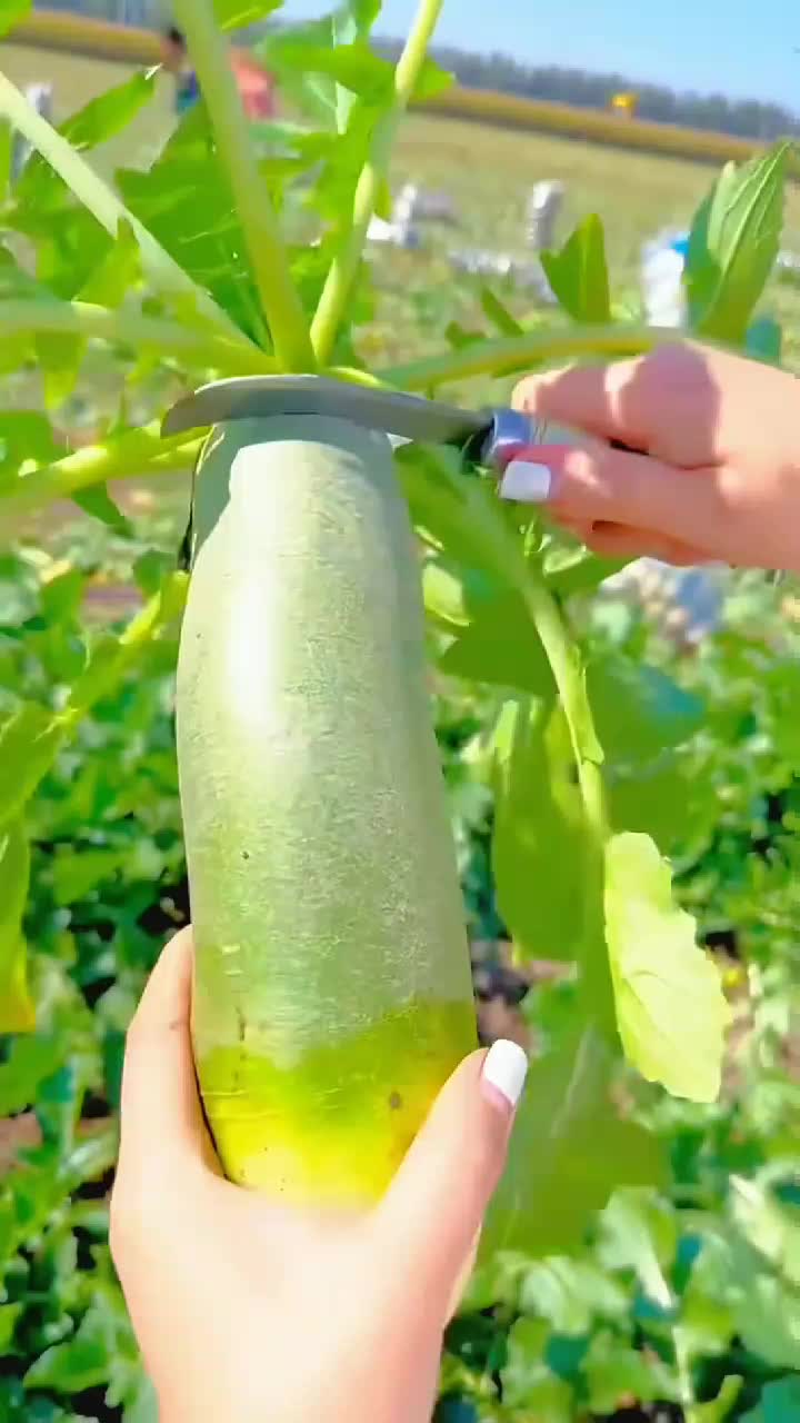 fruitshouse.28 - Video 86