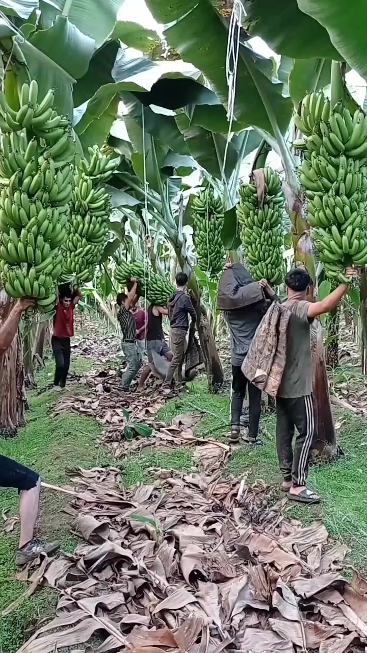 fruitshouse.28 - Video 107