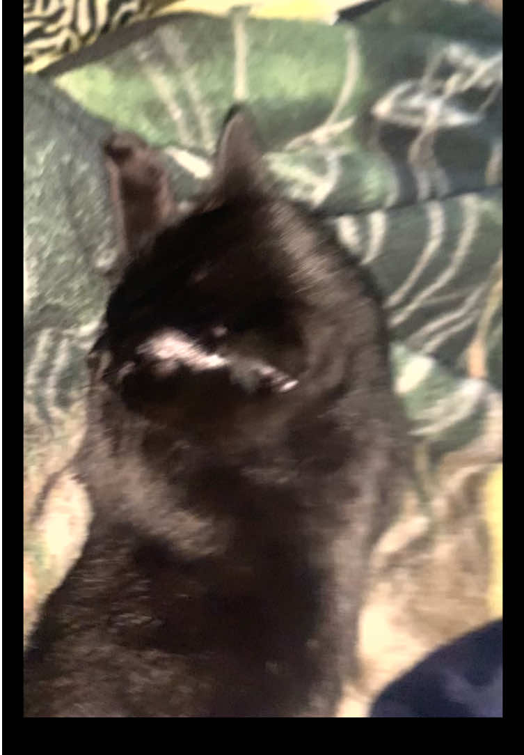 alycatt1111 - Video 30