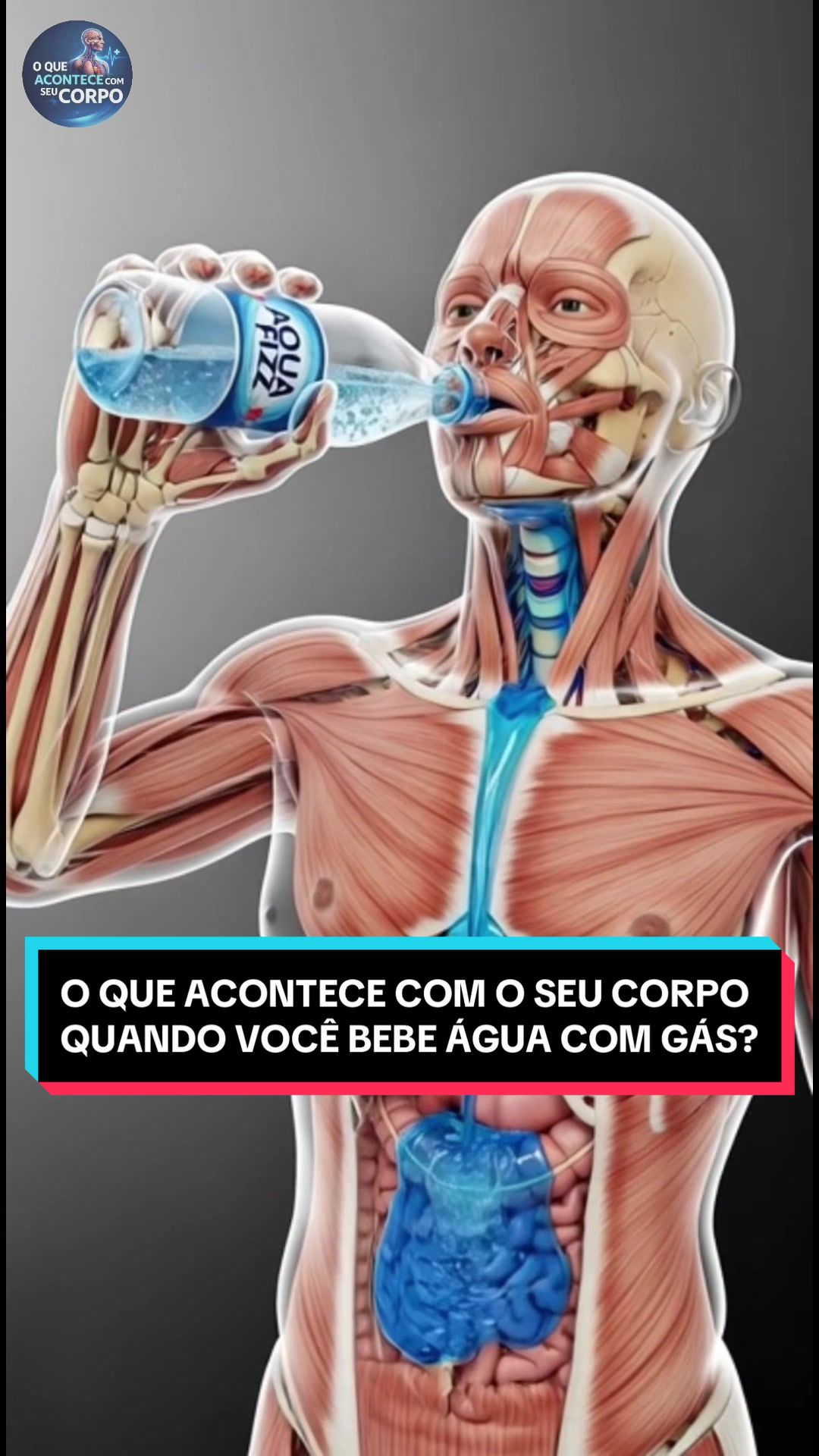 seucorpoemsegundos - Video 08
