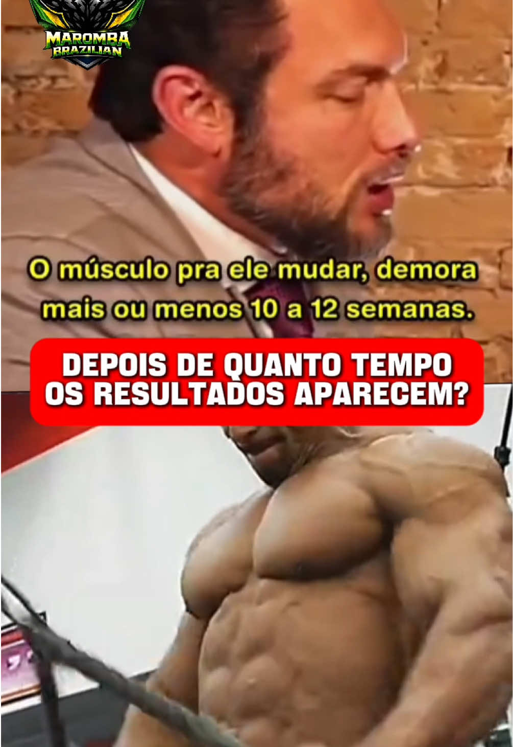 Geral - Video 1425