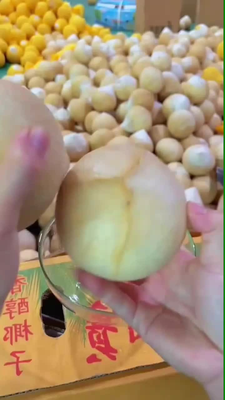 fruitshouse.28 - Video 87