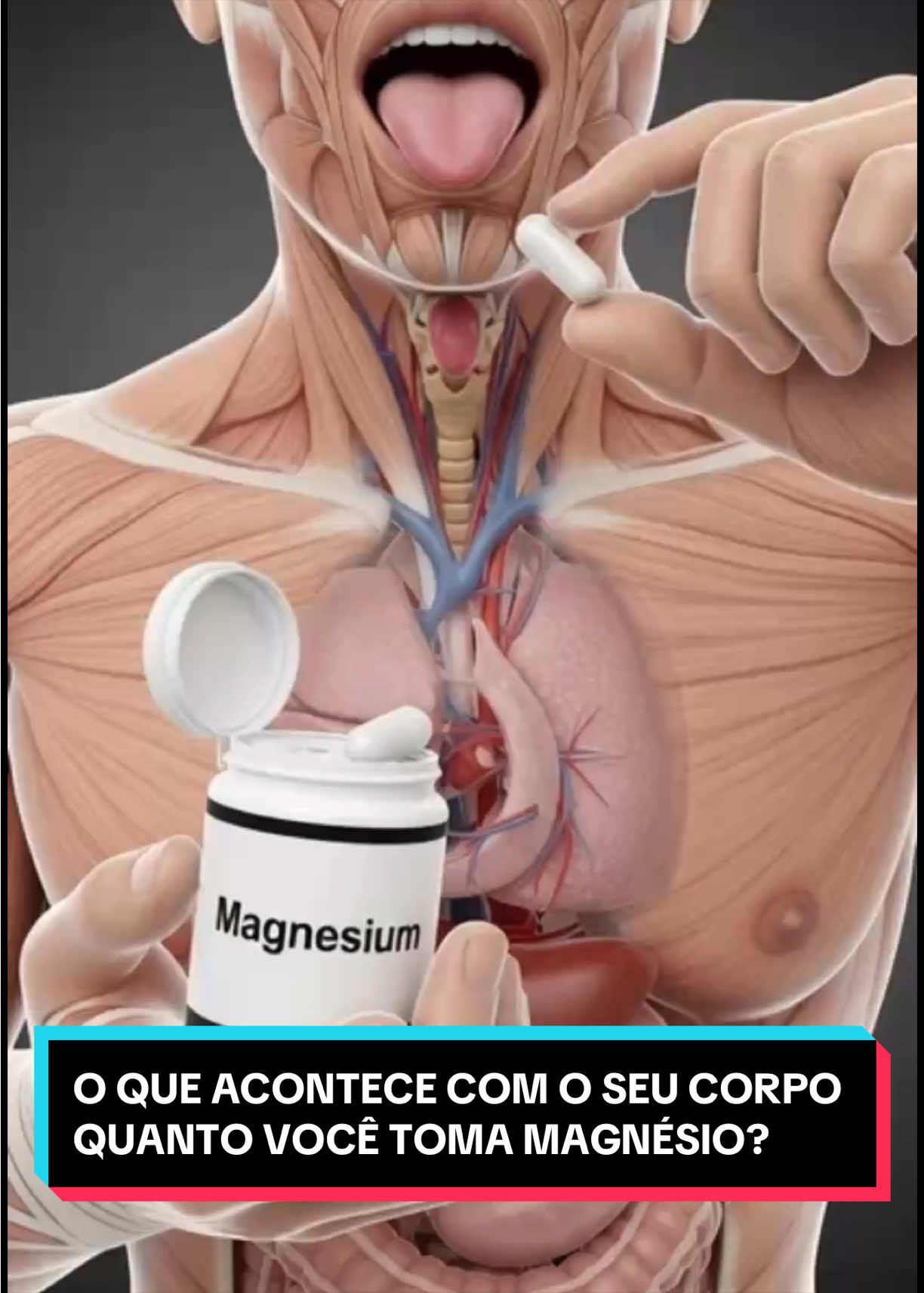 seucorpoemsegundos - Video 04