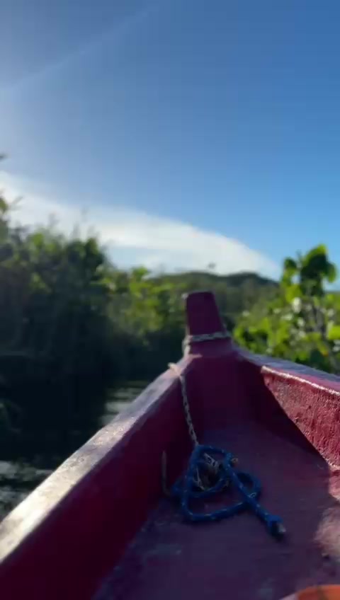 alyson.eco.boat - Video 33