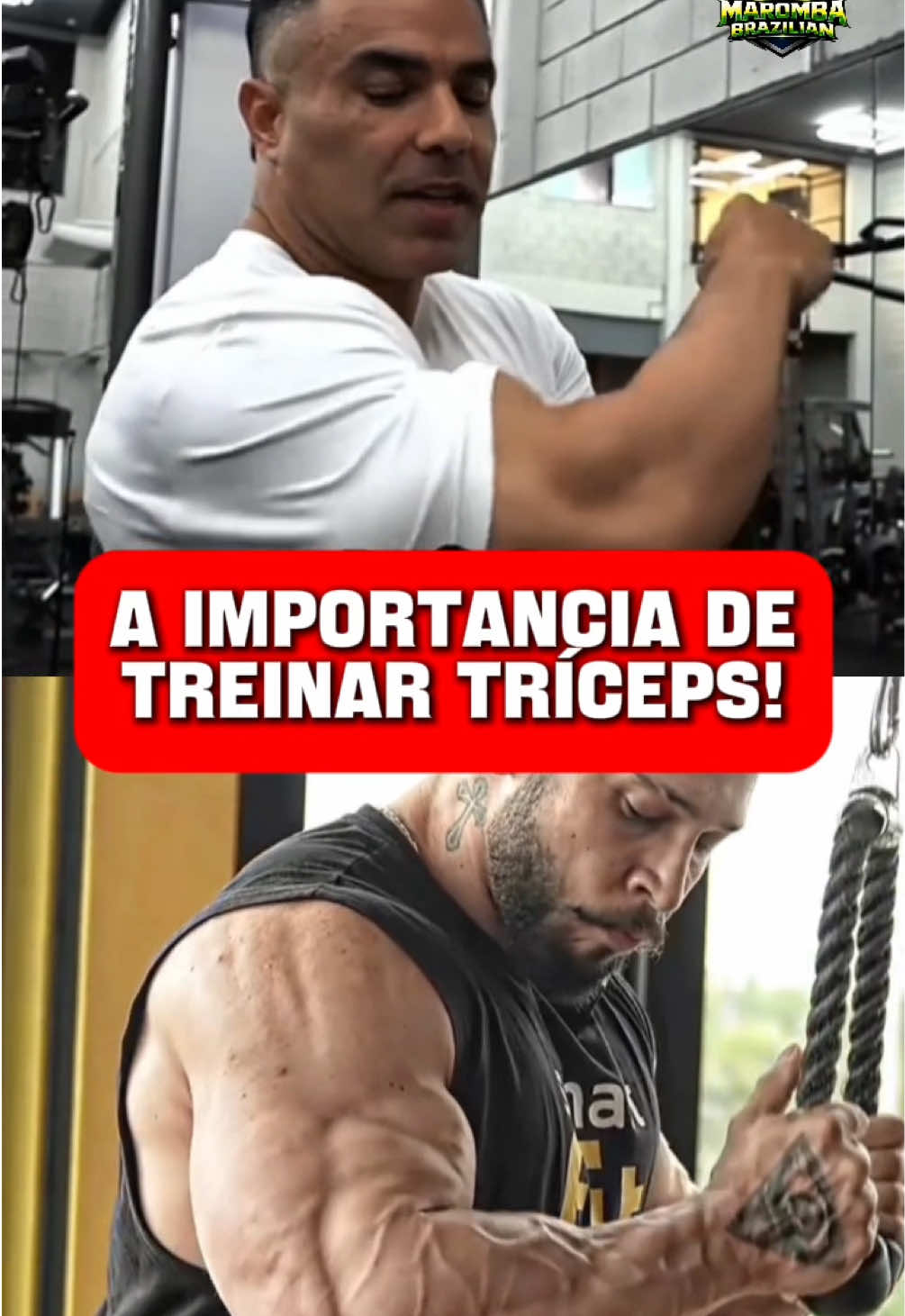 Geral - Video 1341