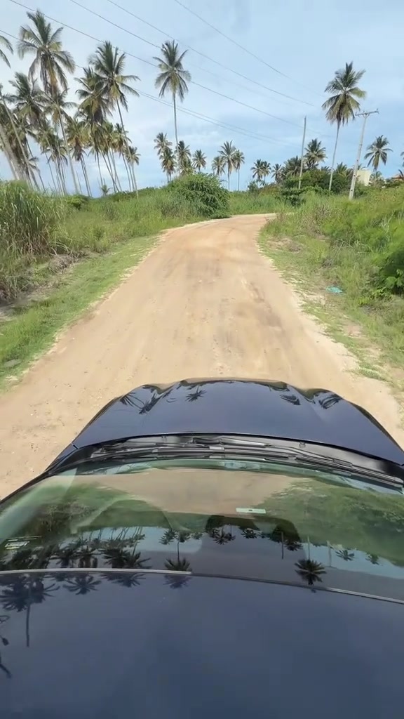 TikTok video #7624241722821790984