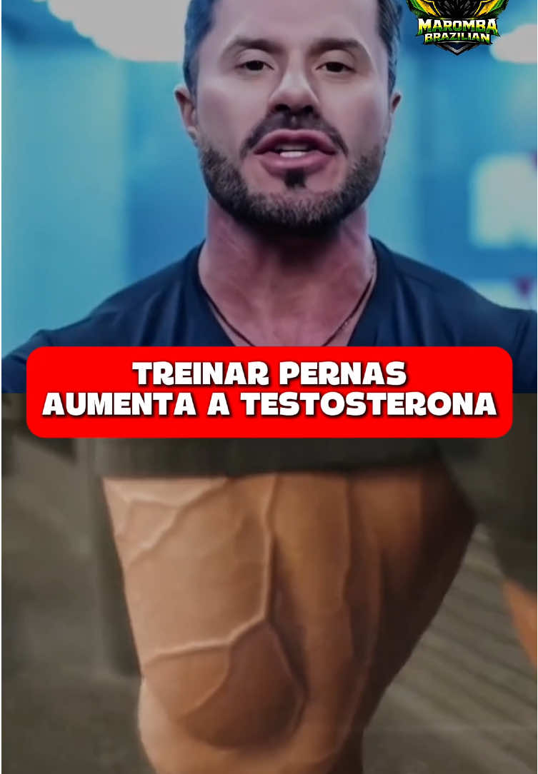 Geral - Video 812