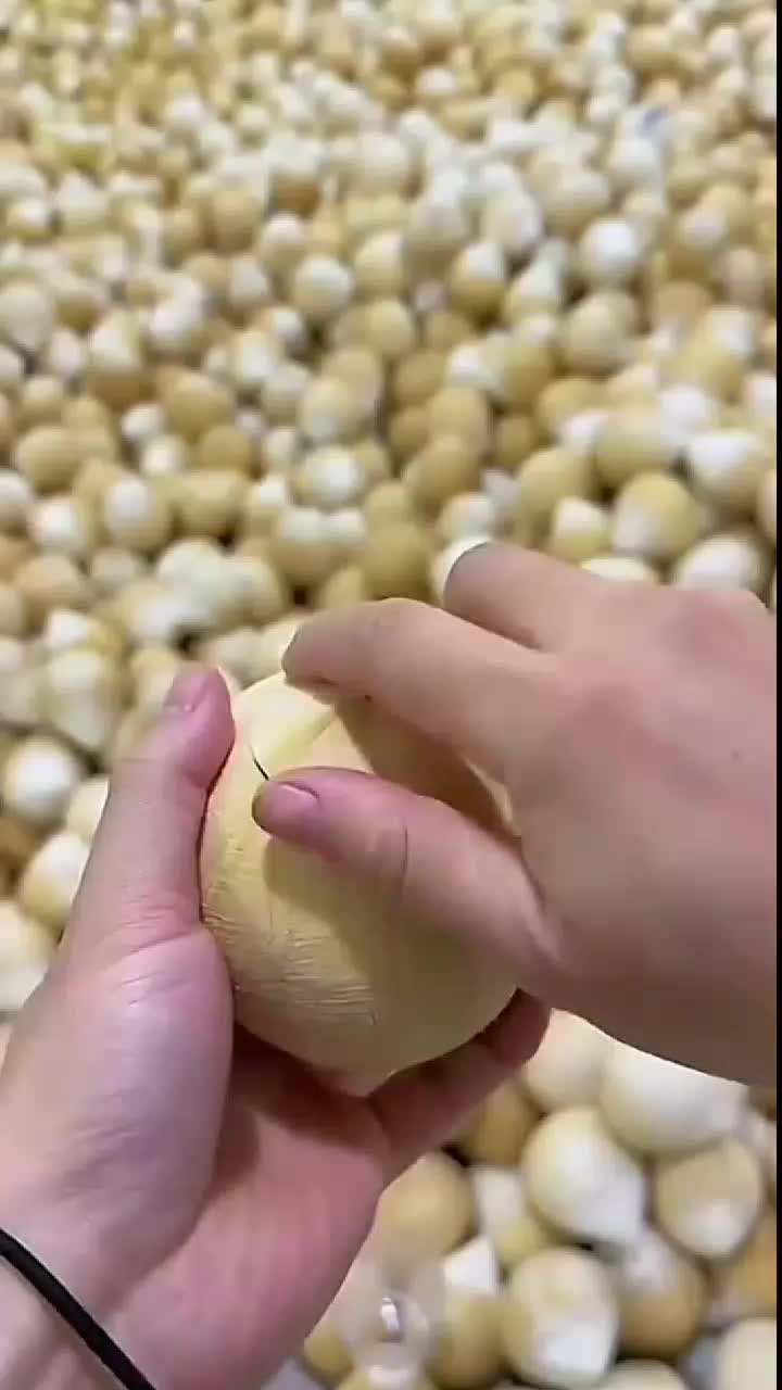 fruitshouse.28 - Video 125