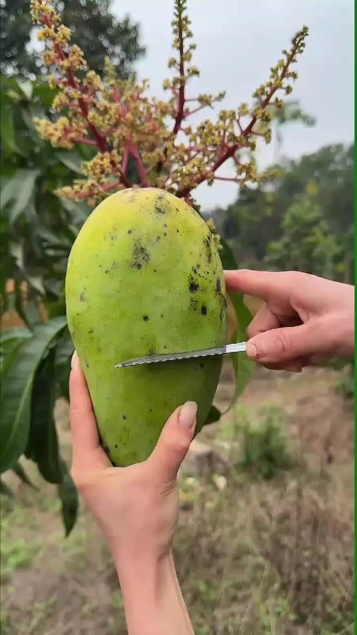 fruitshouse.28 - Video 24