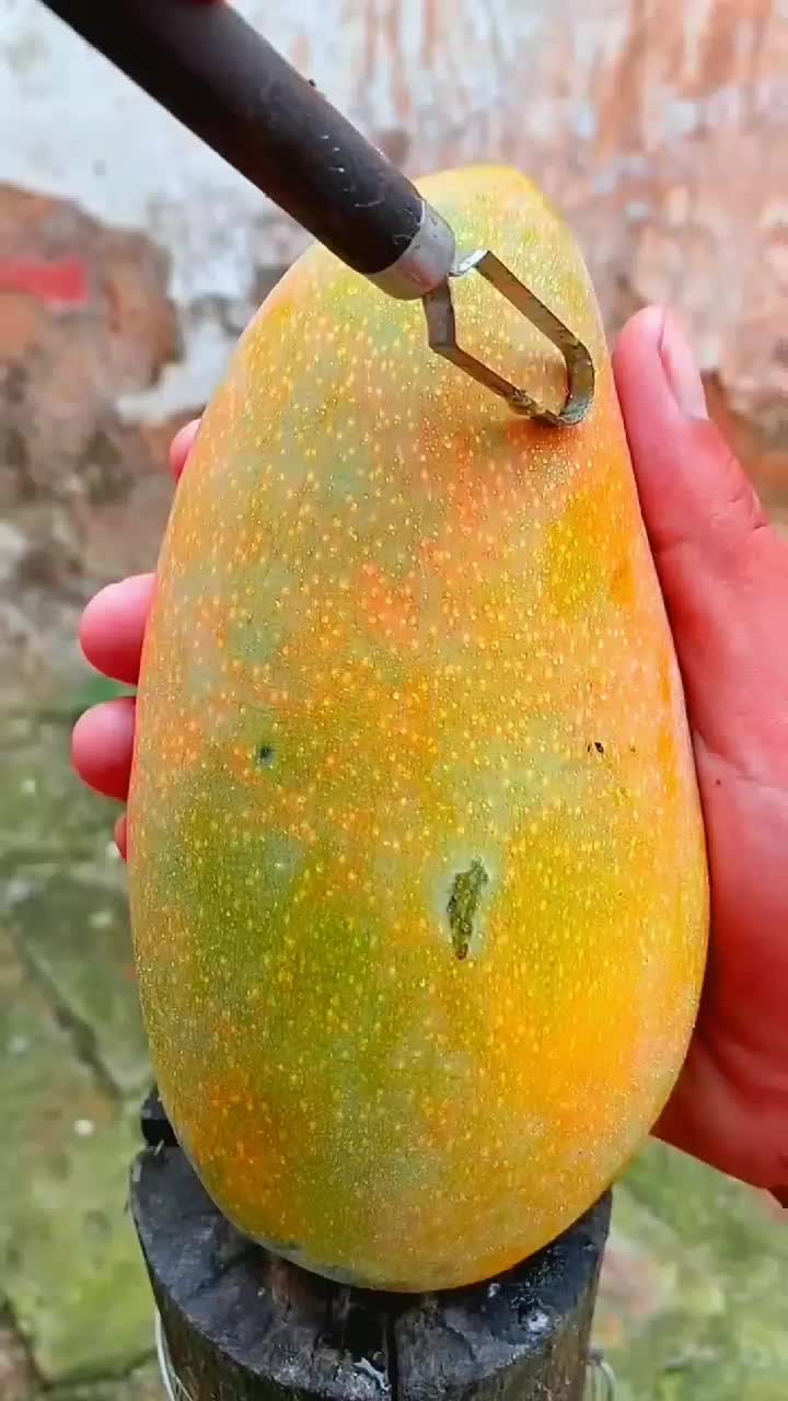fruitshouse.28 - Video 51