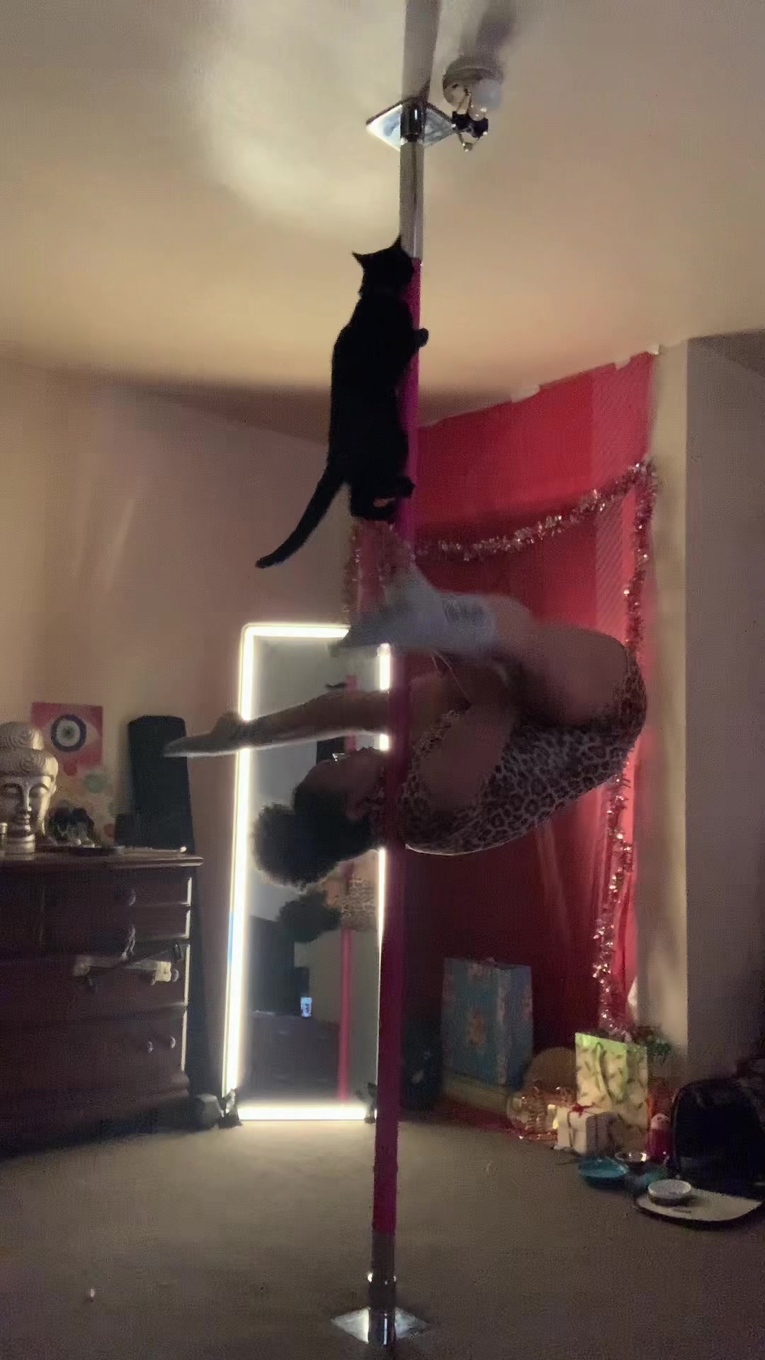 alycatt1111 - Video 13