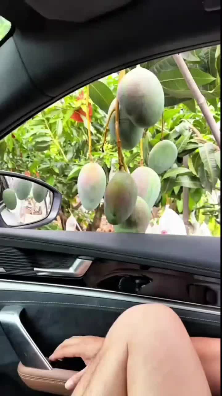 fruitshouse.28 - Video 66