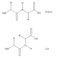 Tripeptídeos