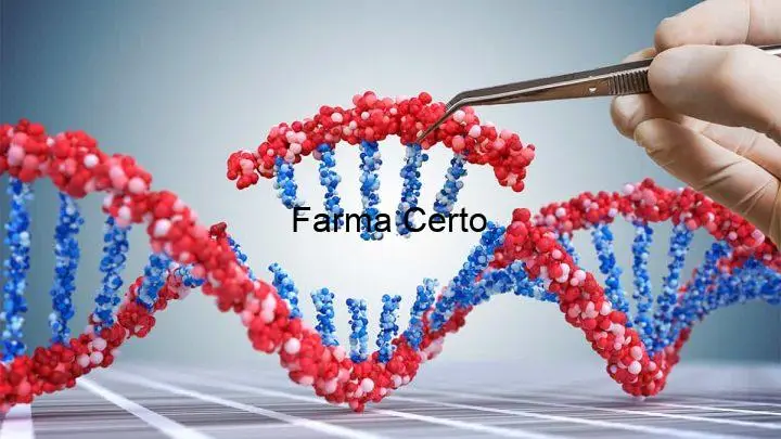 Genética