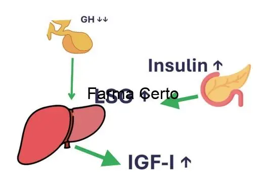 IGF-1